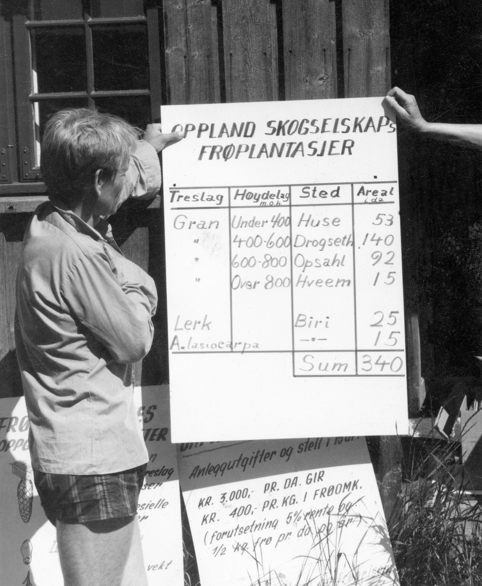 Fr avlsleder Gunnar Haug I Oppland Skogselskap Orienterer Om 