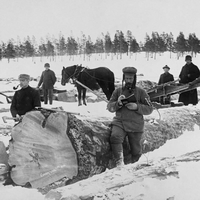 Tømmermåling på Femundsjøen vinteren 1905. Foto/Photo