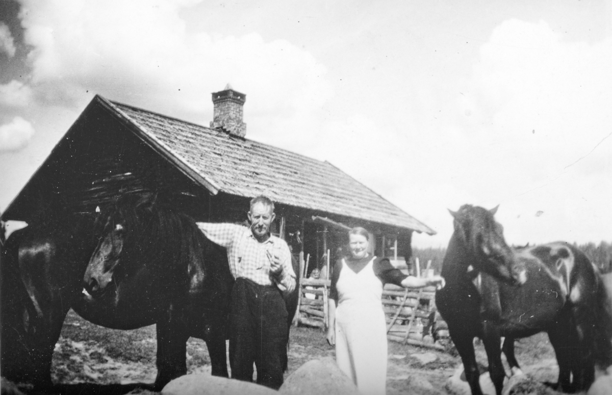 Emma og Bernhard Moløkken på Bringebu. Hester. - Anno ...