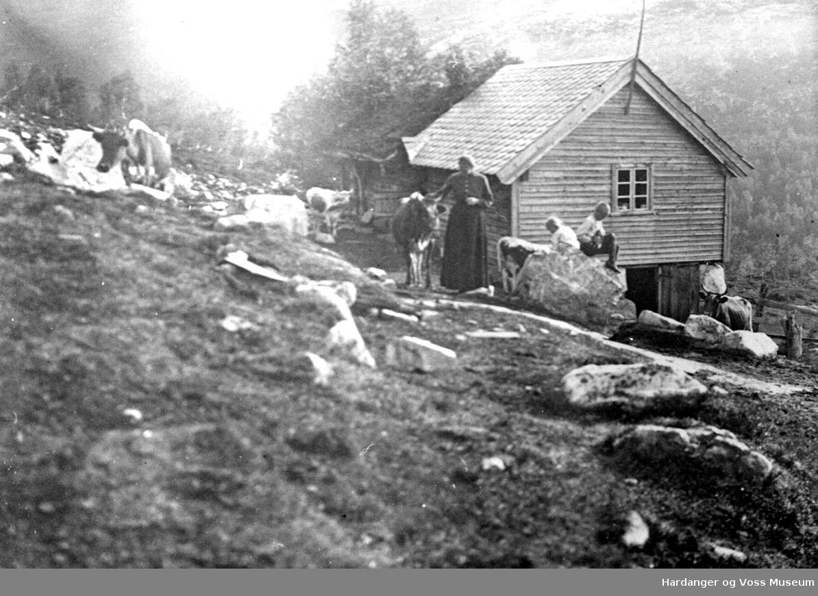 Støl Folk Buskap Hardanger Og Voss Museum Digitaltmuseum